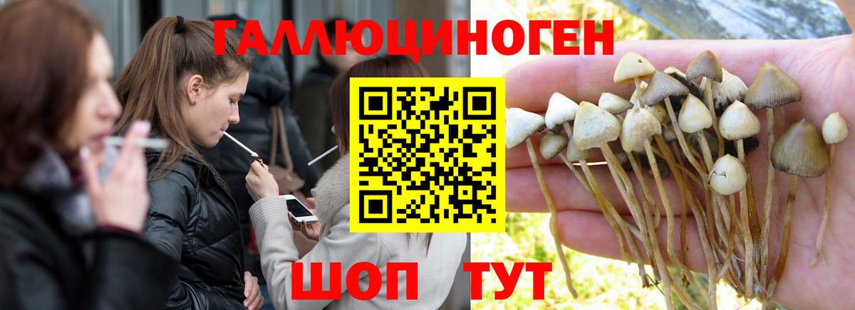 Галлюциногенные грибы ЛСД  Псилоцибиновые грибы Psilocybine cubensis  Наро-Фоминск  Вход с VPN 